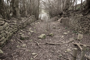 Wormald Green Station